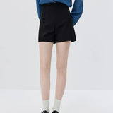 Classic Pleated Mini Skirt with Invisible Side Zip Closure