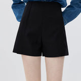 Skirt Mini Berlipat Klasik dengan Penutupan Zip Sisi Tidak Nampak